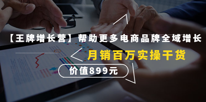 （4264期）【王牌增长营】帮助更多电商品牌全域增长，月销百万实操干货，价值899元-夜影资源