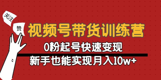 （4446期）视频号带货训练营：0粉起号快速变现，新手也能实现月入10w+-夜影资源