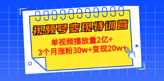 （4455期）20天视频号变现特训营：单视频播放量2亿+3个月涨粉30w+变现20w+-夜影资源