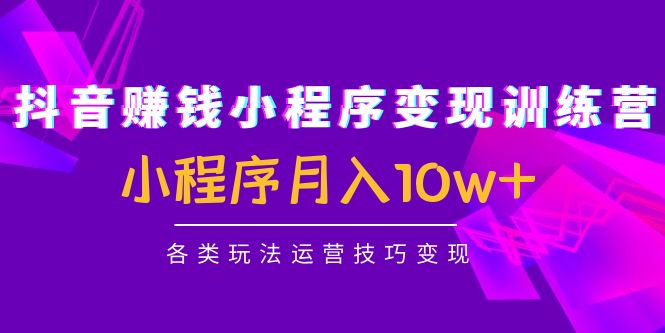 （4511期）抖音赚钱小程序变现训练营：小程序月入10w+各类玩法运营技巧变现-夜影资源