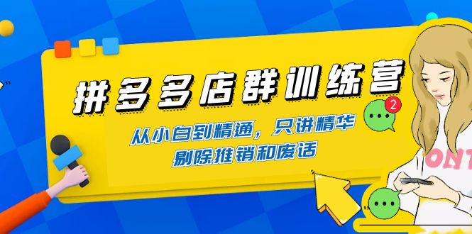 （4318期）拼多多店群训练营：从小白到精通，只讲精华，剔除推销和废话-夜影资源