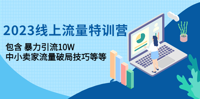 （4567期）2023线上流量特训营：包含暴力引流10W+中小卖家流量破局技巧等等-夜影资源