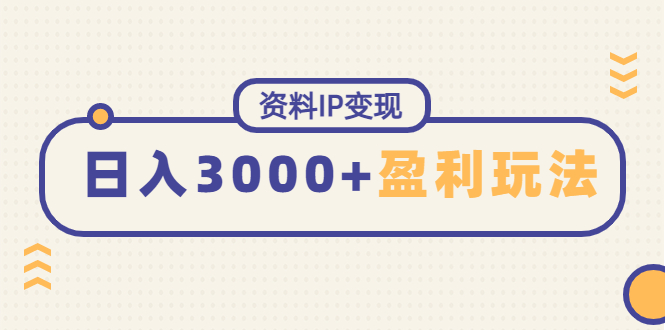（4576期）资料IP变现，能稳定日赚3000起的持续性盈利玩法-夜影资源