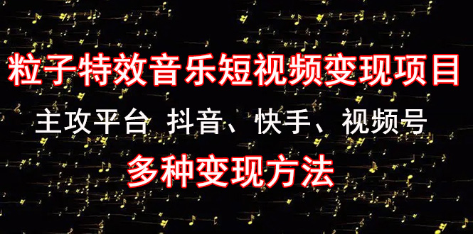 （4586期）《粒子特效音乐短视频变现项目》主攻平台 抖音、快手、视频号 多种变现方法-夜影资源