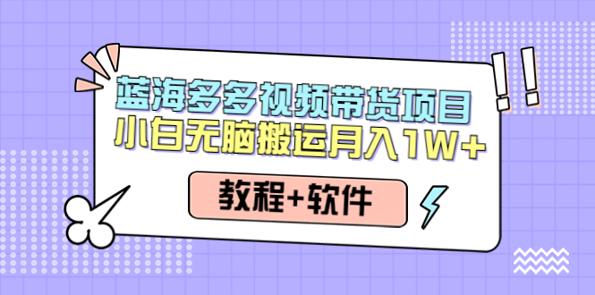 （4343期）人人都能操作的蓝海多多视频带货项目 小白无脑搬运月入10000+（教程+软件）-夜影资源