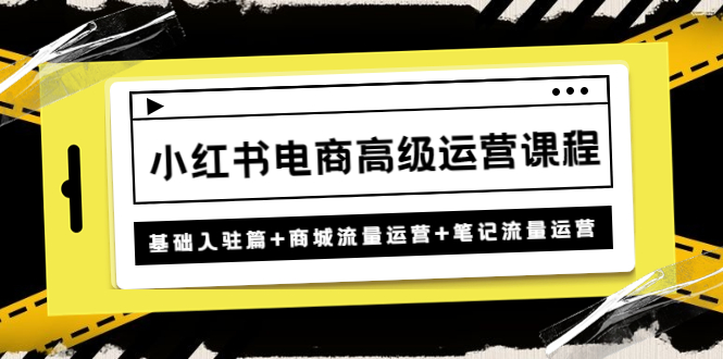 （4638期）小红书电商高级运营课程：基础入驻篇+商城流量运营+笔记流量运营-夜影资源