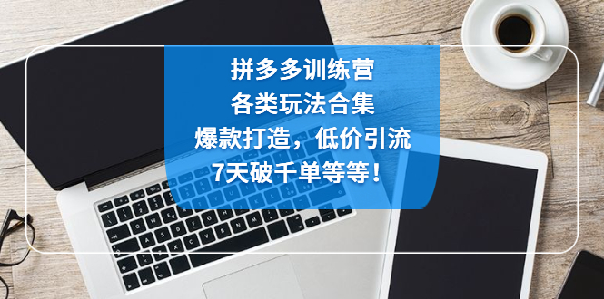（4693期）拼多多训练营：各玩法合集，爆款打造，低价引流，7天破千单等等！-夜影资源
