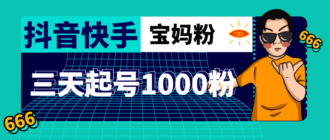 （4818期）抖音快手三天起号涨粉1000宝妈粉丝的核心方法【详细玩法教程】-夜影资源