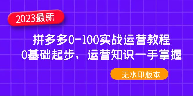 （4835期）2023拼多多0-100实战运营教程，0基础起步，运营知识一手掌握（无水印）-夜影资源