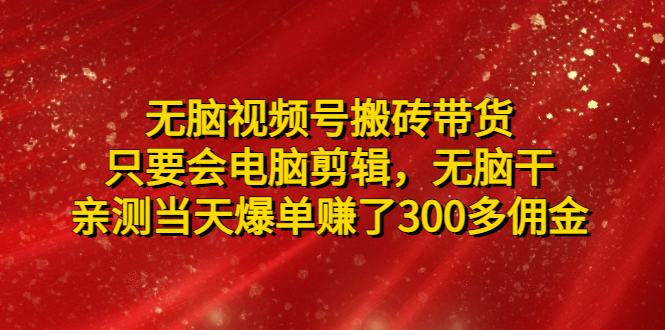 （4862期）无脑视频号搬砖带货，只要会电脑剪辑，无脑干，亲测当天爆单赚了300多佣金-夜影资源