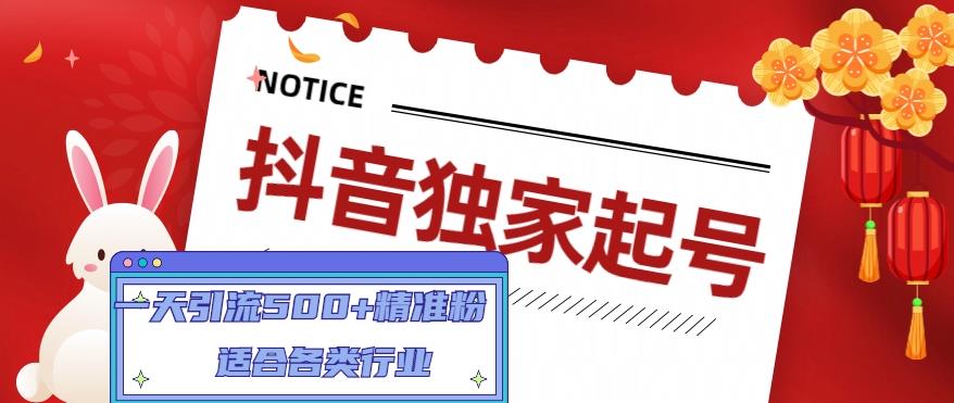 （4906期）抖音独家起号，一天引流500+精准粉，适合各类行业（9节视频课）-夜影资源