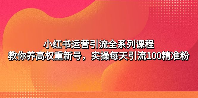 （4950期）小红书运营引流全系列课程：教你养高权重新号，实操每天引流100精准粉-夜影资源