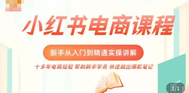 （5049期）小红书电商新手入门到精通实操课，从入门到精通做爆款笔记，开店运营-夜影资源