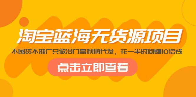 （5062期）淘宝蓝海无货源项目，不囤货不推广只做冷门高利润代发，花一半时间赚10倍钱-夜影资源