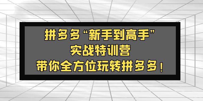 （5173期）拼多多“新手到高手”实战特训营：带你全方位玩转拼多多！-夜影资源