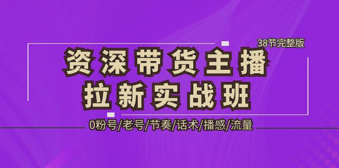 （5191期）资深·带货主播拉新实战班，0粉号/老号/节奏/话术/播感/流量-38节完整版-夜影资源