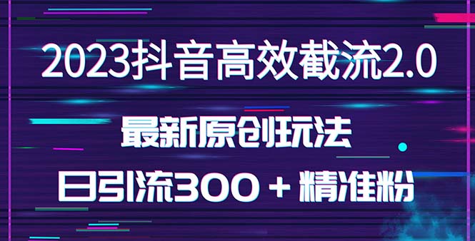 （5293期）日引300＋创业粉，独家抖音高效截流2.0玩法（价值1280）-夜影资源