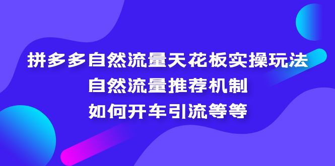 （5327期）拼多多自然流量天花板实操玩法：自然流量推荐机制，如何开车引流等等-夜影资源