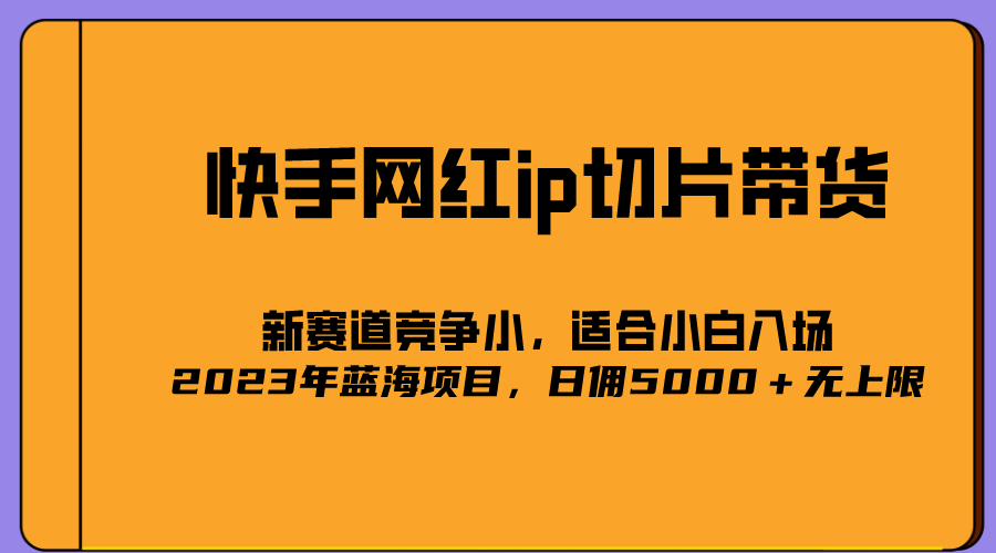 （5346期）2023爆火的快手网红IP切片，号称日佣5000＋的蓝海项目，二驴的独家授权-夜影资源