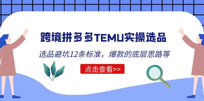 （5402期）跨境拼多多TEMU实操选品运营方法，选品避坑12条标准，爆款的底层思路等-夜影资源