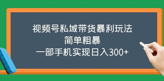 （5544期）视频号私域带货暴利玩法，简单粗暴，一部手机实现日入300+-夜影资源