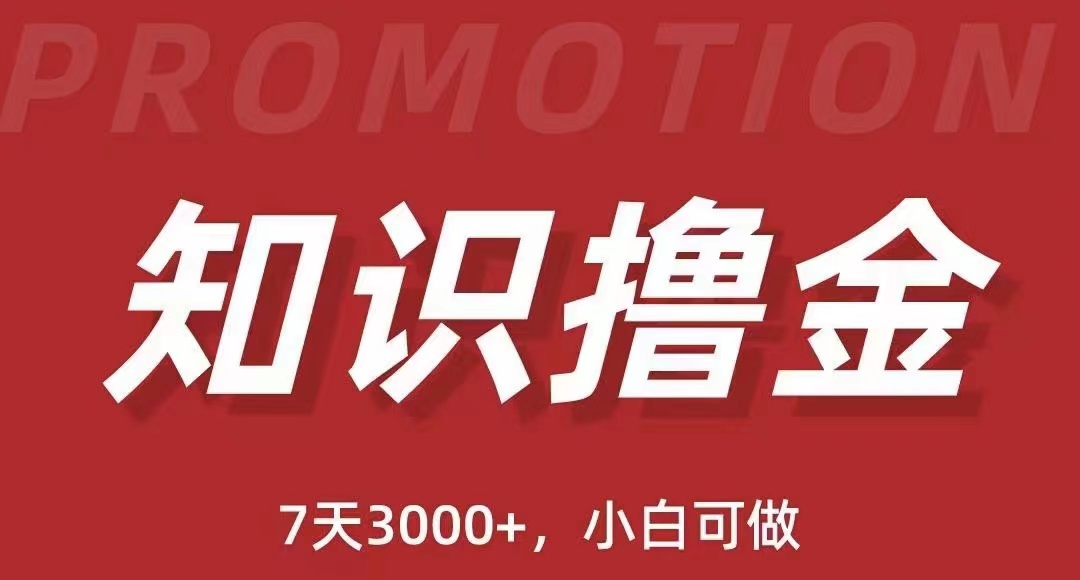 （5629期）抖音知识撸金项目：简单粗暴日入1000+执行力强当天见收益(教程+资料)-夜影资源