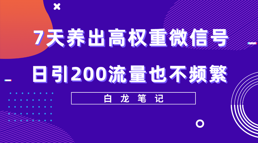 （5630期）7天养出高权重微信号，日引200流量也不频繁，方法价值3680元-夜影资源