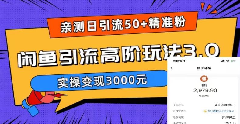（5739期）实测日引50+精准粉，闲鱼引流高阶玩法3.0，实操变现3000元-夜影资源