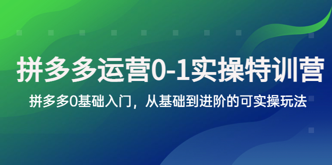 （5747期）拼多多-运营0-1实操训练营，拼多多0基础入门，从基础到进阶的可实操玩法-夜影资源
