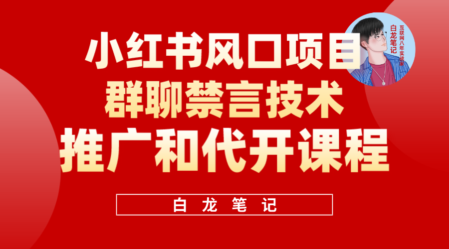 （5973期）小红书风口项目日入300+，小红书群聊禁言技术代开项目，适合新手操作-夜影资源