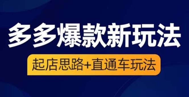 （6028期）2023拼多多爆款·新玩法：起店思路+直通车玩法（3节精华课）-夜影资源