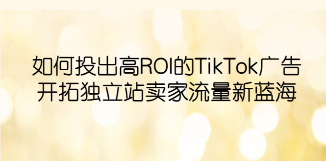 （6102期）如何投出高ROI·TikTok广告，开拓独立站卖家流量新蓝海-夜影资源