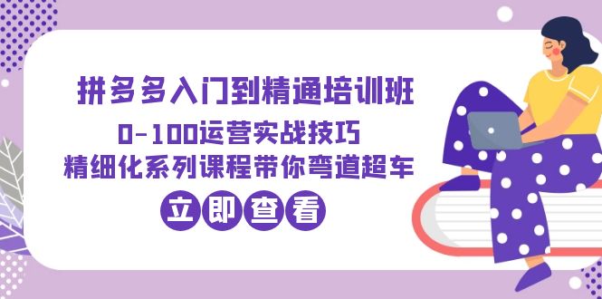 （6243期）2023拼多多入门到精通培训班：0-100运营实战技巧 精细化系列课带你弯道超车-夜影资源