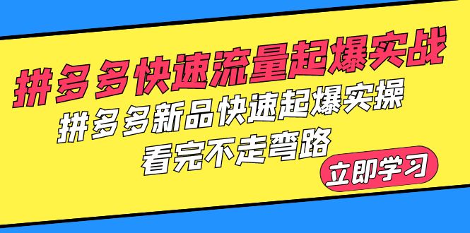 （6253期）拼多多-快速流量起爆实战，拼多多新品快速起爆实操，看完不走弯路-夜影资源