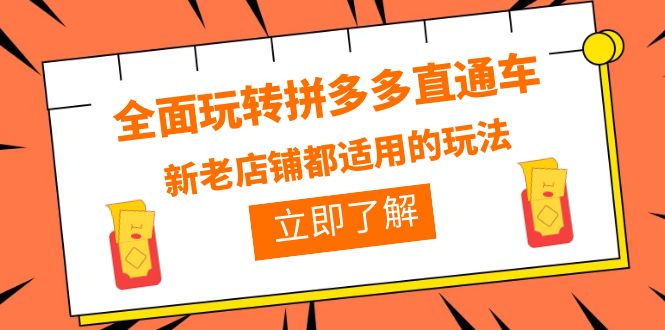 （6294期）全面玩转拼多多直通车，新老店铺都适用的玩法（12节精华课）-夜影资源