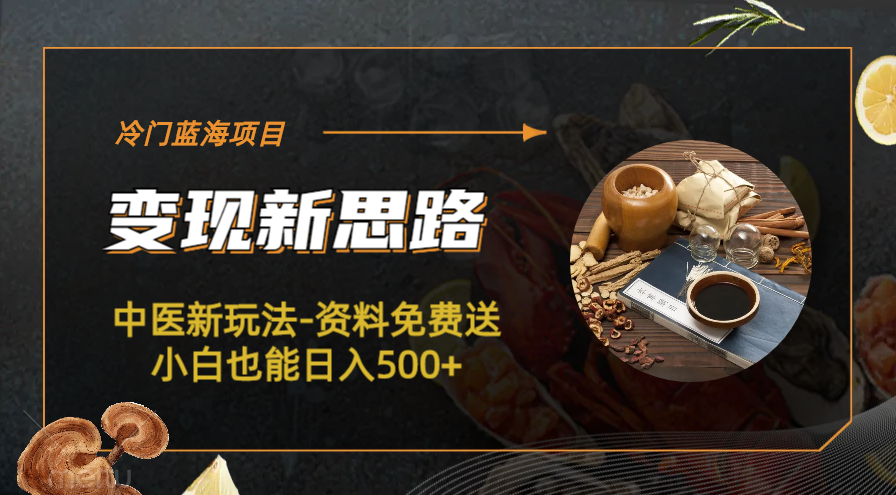 （6452期）冷门蓝海项目-中医新玩法-资料免费送小白也能日入500+-夜影资源