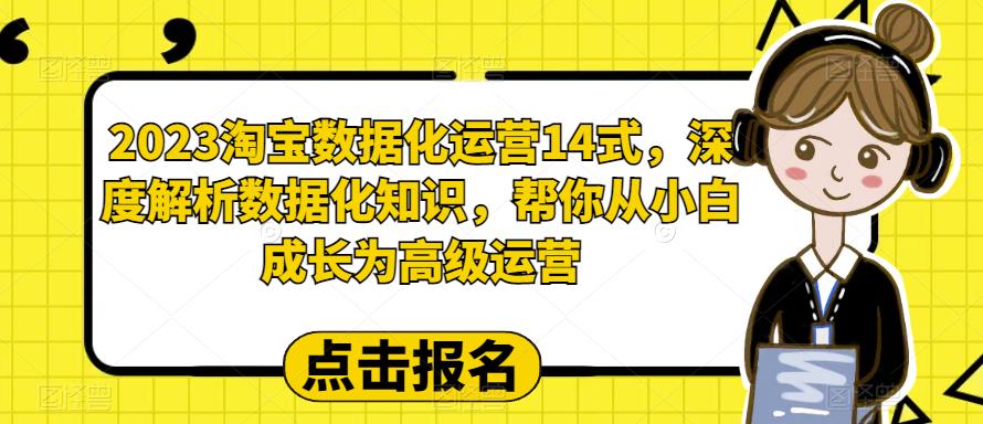 （6475期）2023淘宝数据化-运营 14式，深度解析数据化知识，帮你从小白成长为高级运营-夜影资源