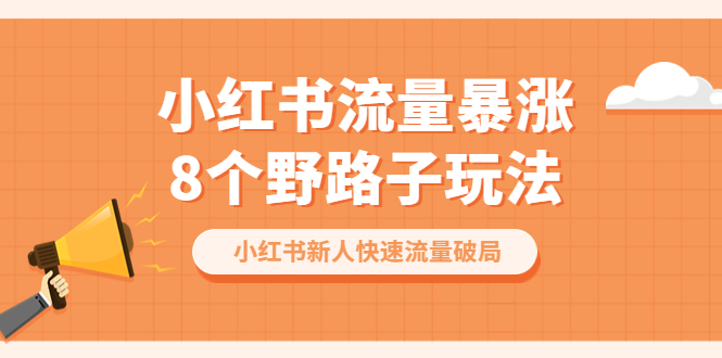 （6476期）小红书流量-暴涨8个野路子玩法：小红书新人快速流量破局（8节课）-夜影资源