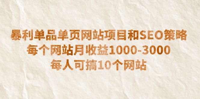（6503期）暴利单品单页网站项目和SEO策略  每个网站月收益1000-3000  每人可搞10个-夜影资源