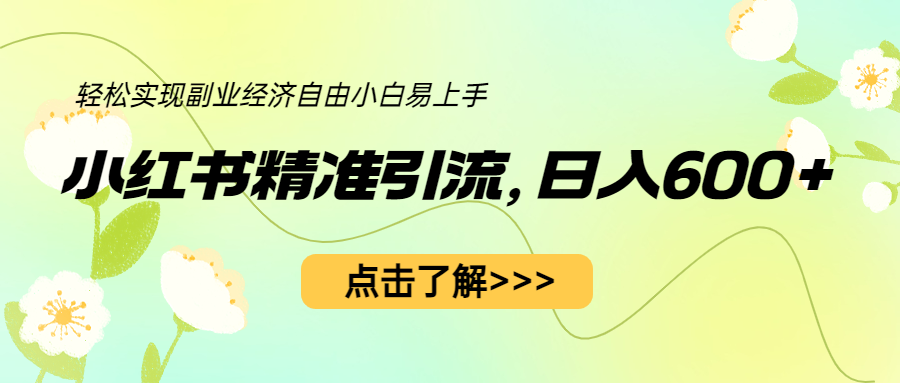 （6515期）小红书精准引流，小白日入600+，轻松实现副业经济自由（教程+1153G资源）-夜影资源