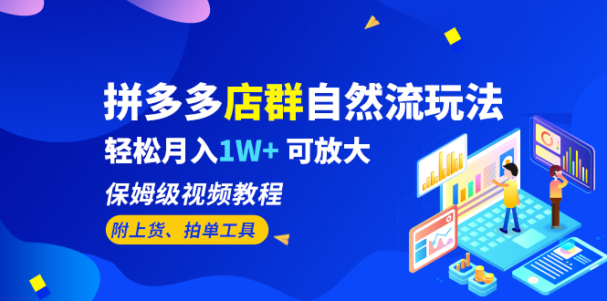 （6545期）拼多多店群自然流玩法，轻松月入1W+ 保姆级视频教程（附上货、拍单工具）-夜影资源