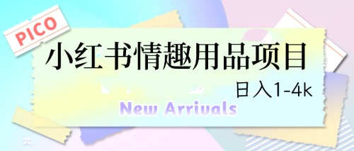 （6555期）最新小红书情趣用品项目，日入1-4k-夜影资源