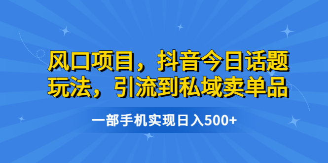 （6588期）风口项目，抖音今日话题玩法，引流到私域卖单品，一部手机实现日入500+-夜影资源