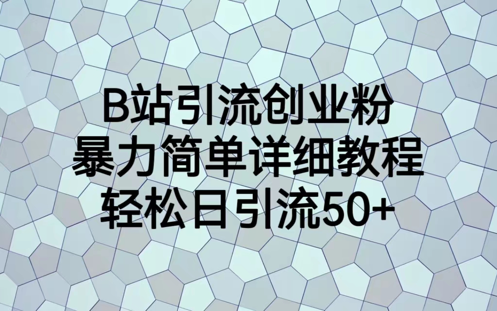 （6639期）B站引流创业粉，暴力简单详细教程，轻松日引流50+-夜影资源