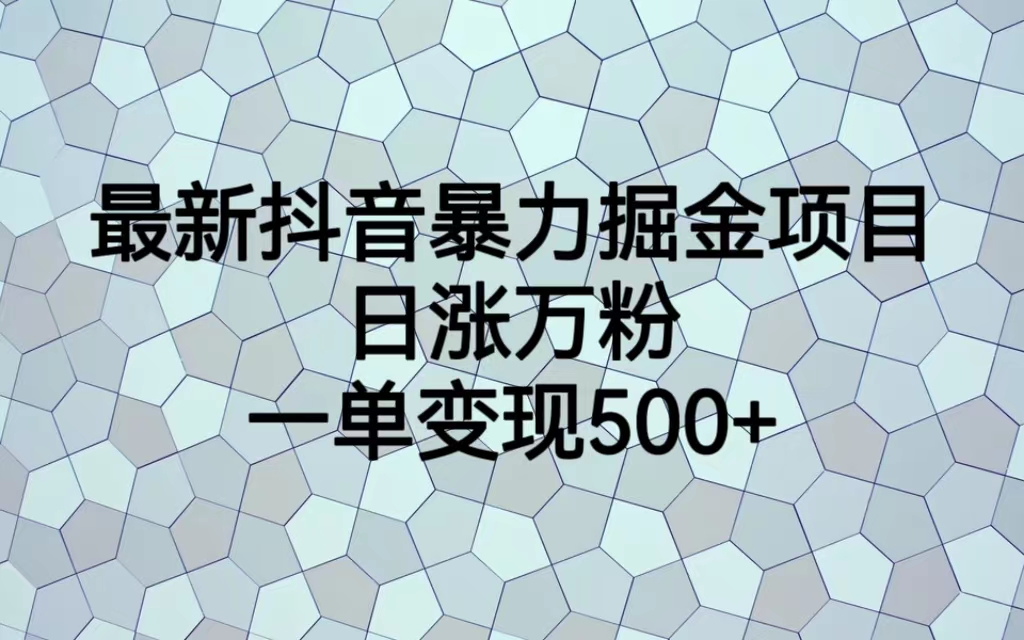 （6642期）最新抖音暴力掘金项目，日涨万粉，一单变现500+-夜影资源