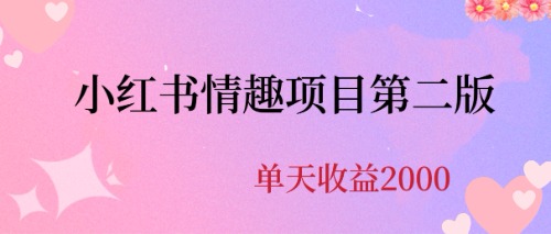 （6648期）最近爆火小红书情趣项目第二版，每天2000+-夜影资源