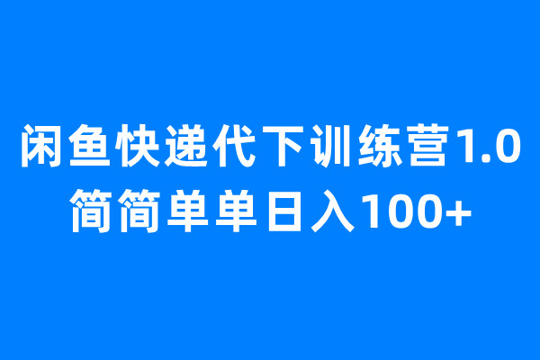（6653期）闲鱼快递代下训练营1.0，简简单单日入100+-夜影资源