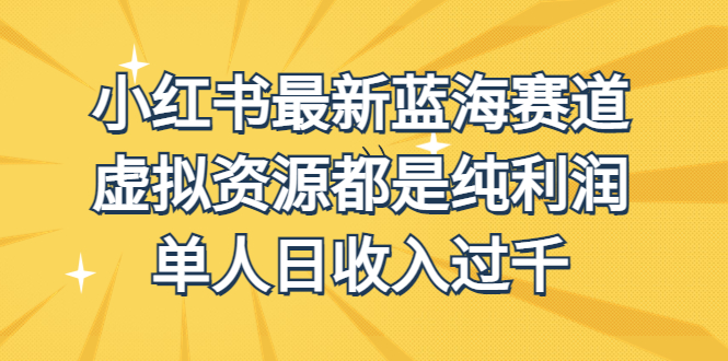 （6721期）外面收费1980的小红书最新蓝海赛道，虚拟资源都是纯利润，单人日收入过千-夜影资源
