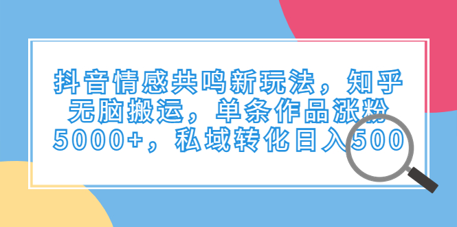 （6758期）抖音情感共鸣新玩法，知乎无脑搬运，单条作品涨粉5000+，私域转化日入500-夜影资源