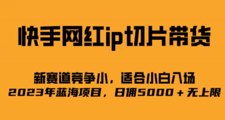 （6832期）快手网红ip切片新赛道，竞争小事，适合小白  2023蓝海项目-夜影资源